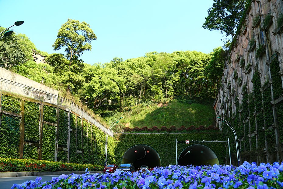 金沙bjs线路检测中心园林绿化维护